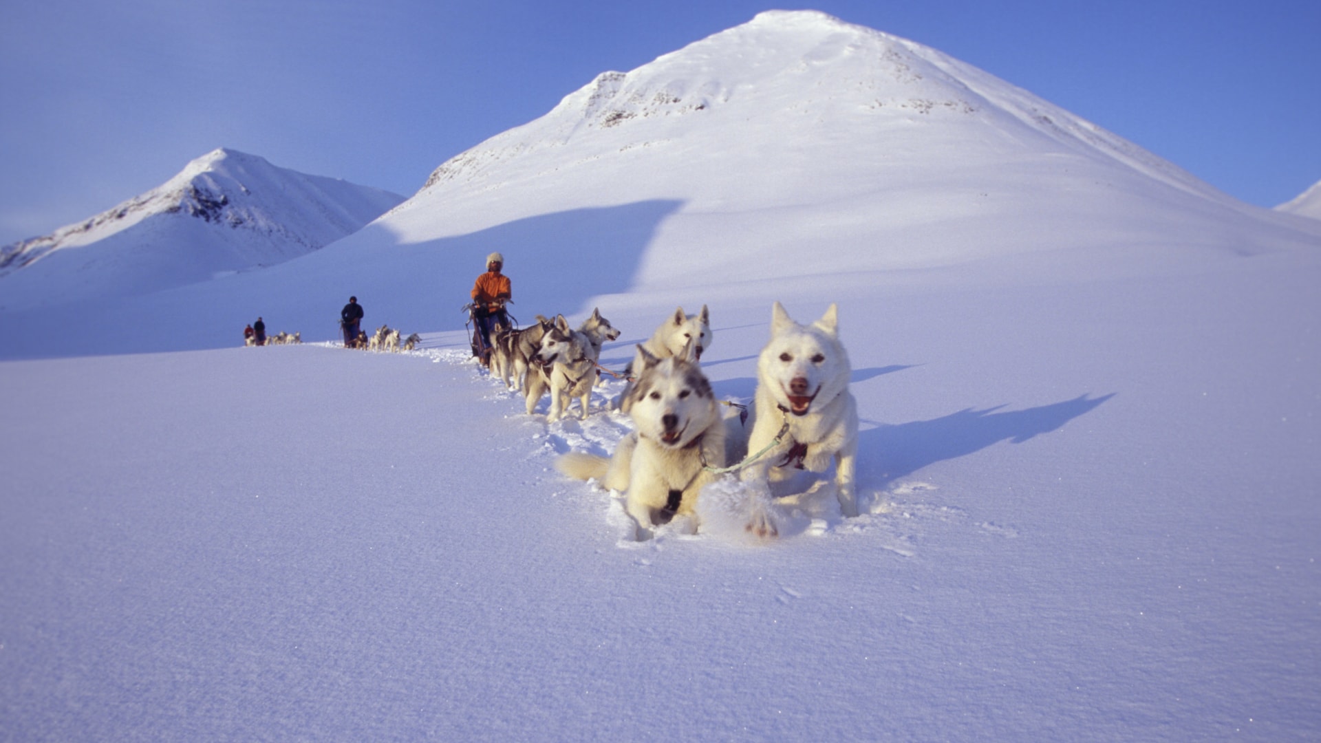 Lavvu Tour mit Huskys